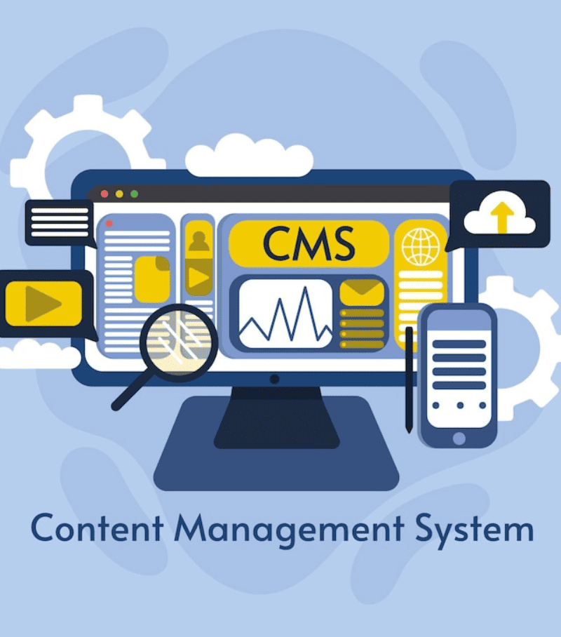 cms-development-service