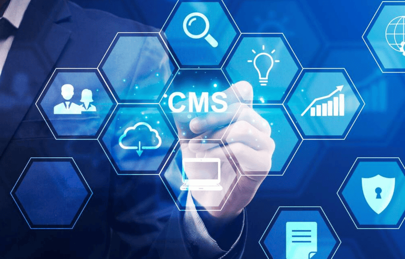 cms-development-service