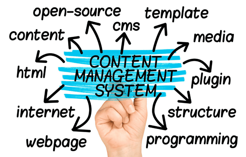 cms-development-service