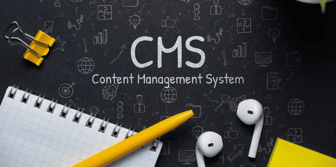 cms-development-service