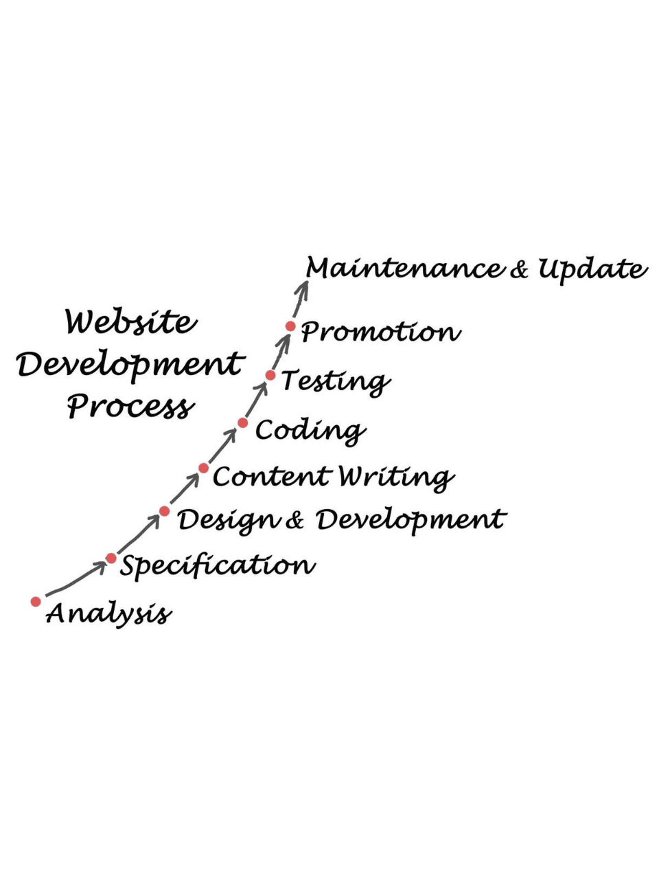 web-development-service