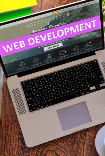 web-development-service
