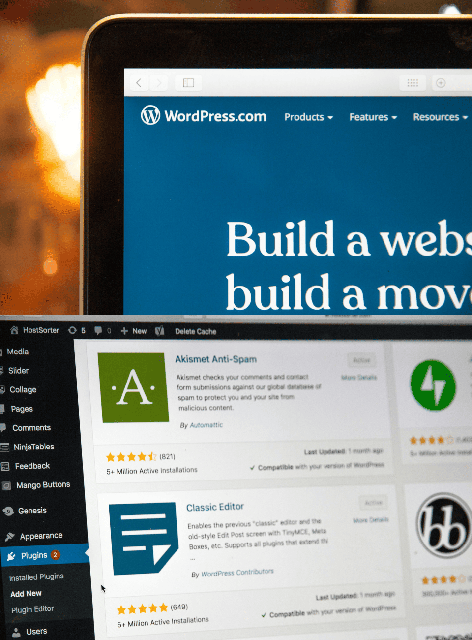 wordpress-development-service