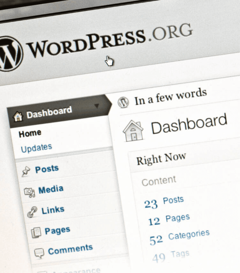 wordpress-development-service