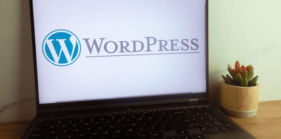 wordpress-development-service